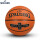 76-307プラチナシリーズ-室内バスケットボール